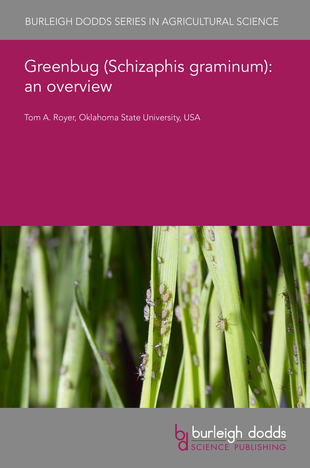 Book cover image for Greenbug (Schizaphis graminum): an overview ISBN: 9781801468503